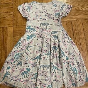 Princess Awesome dinosaur dress, size 6
